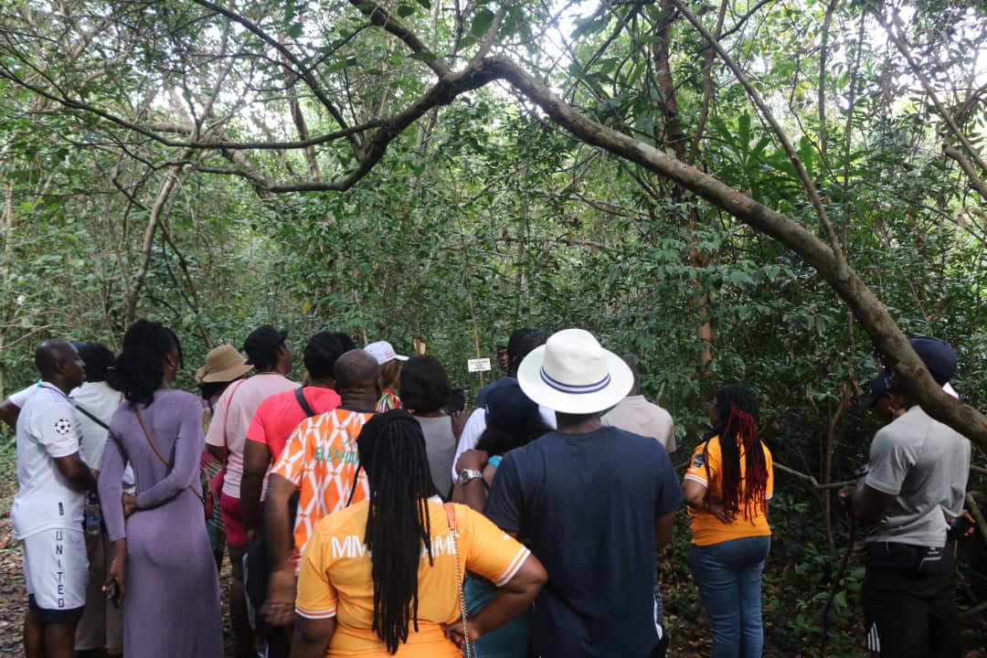 Rendonnée Hôtel Auberge d'Assinie